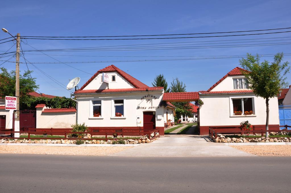 Pensiunea Roma Antica Hărman Extérieur photo